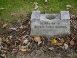 image of grave number 196332